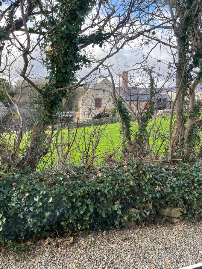 15 Waterwheel Wharf, Annalong Leilighet Newry Eksteriør bilde